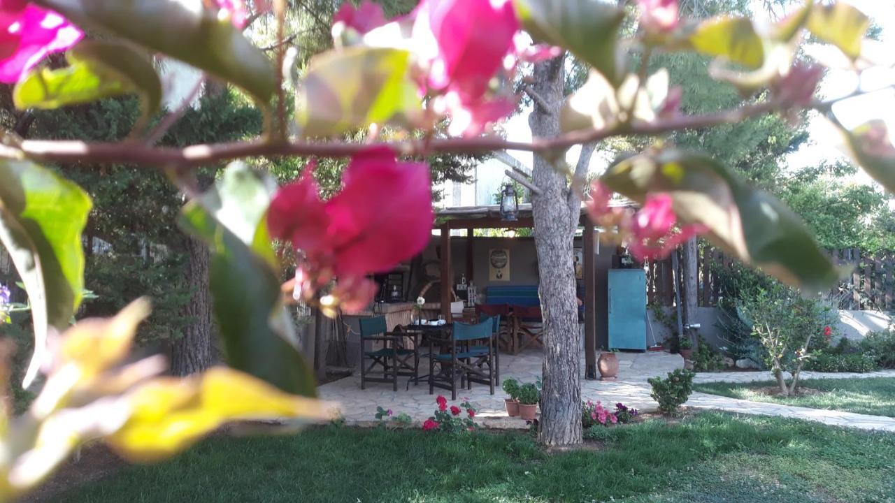 Home Sweet Home Артеміда Екстер'єр фото